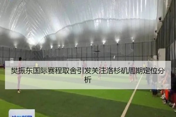 樊振东国际赛程取舍引发关注洛杉矶周期定位分析